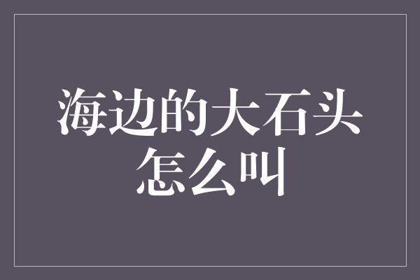 海边的大石头怎么叫