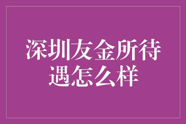 深圳友金所待遇怎么样