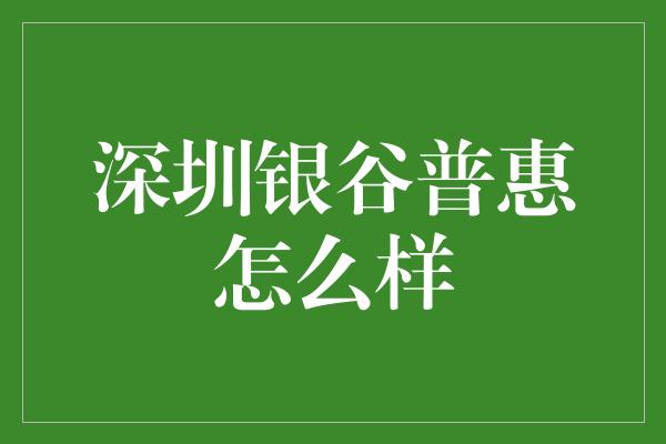 深圳银谷普惠怎么样