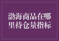 渤海商品持仓量指标：菜鸟也能赚大钱的秘密武器