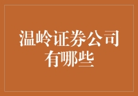 温岭证券公司：区域金融市场活力的新引擎