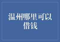 融资策略：温州地区的借贷渠道与风险控制指南