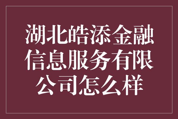 湖北皓添金融信息服务有限公司怎么样