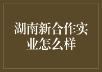 湖南新合作实业的秘密武器：如何在竞争中脱颖而出？