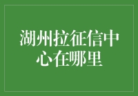 湖州拉征信中心到底在哪？揭秘征信查询的秘密诀窍！