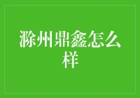 滁州鼎鑫怎么样？——新手投资者必看的深度分析!