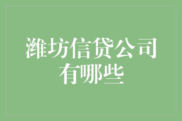 潍坊信贷公司有哪些