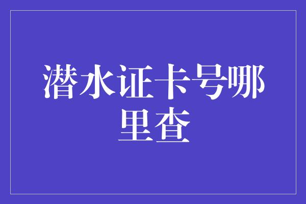 潜水证卡号哪里查