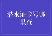 在深海找潜水证卡号攻略：揭秘潜水员的寻宝秘籍