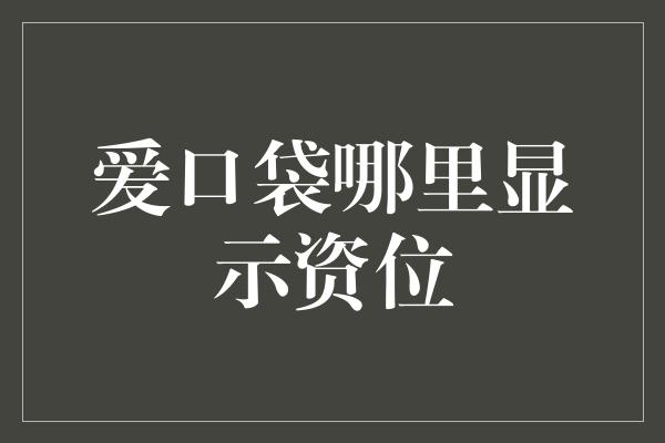 爱口袋哪里显示资位