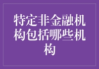 特定非金融机构的内涵及其分类