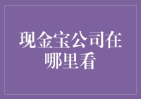 现金宝公司监管透明度探究：如何确保投资安全