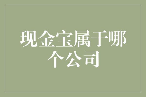 现金宝属于哪个公司