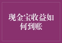 现金宝收益到帐：构建高效财务回报的创新策略