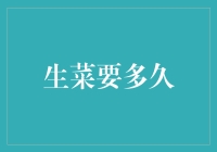 生菜在适宜环境下生长周期多少天？如何实现高效生菜种植？