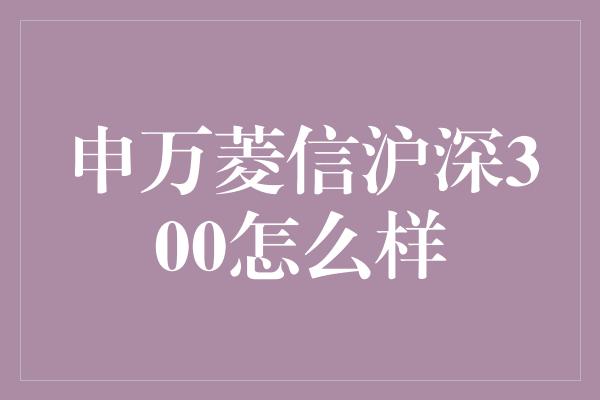 申万菱信沪深300怎么样