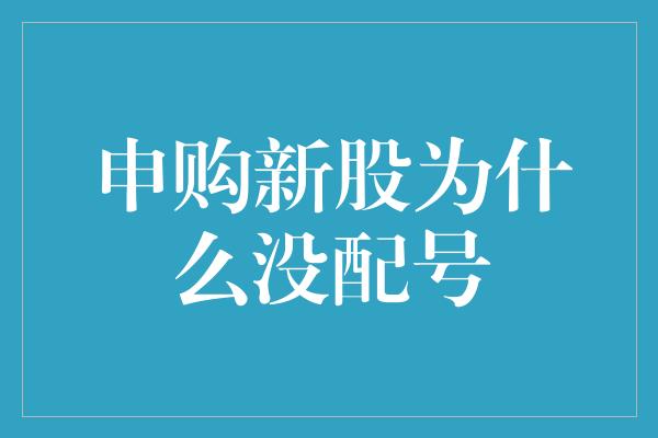 申购新股为什么没配号