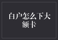 解析白户如何成功申请大额信用卡：从信用建立到卡种选择的全面指南