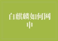 白麒麟网申攻略：从新手到高手的全面解析