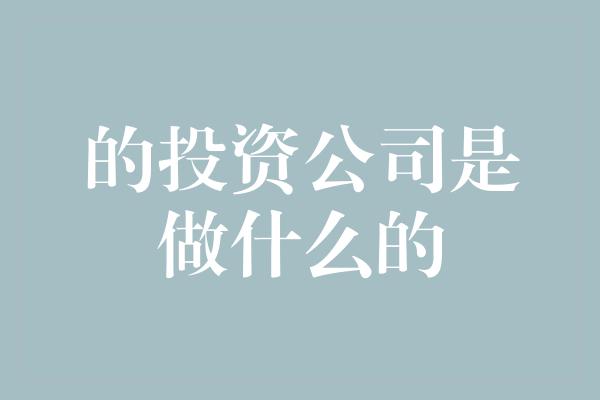 的投资公司是做什么的