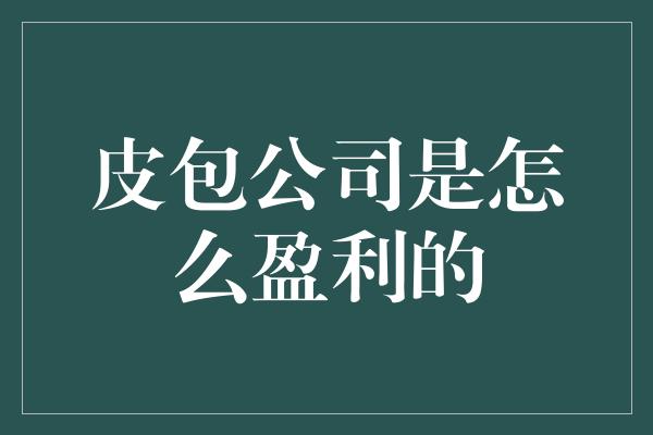 皮包公司是怎么盈利的