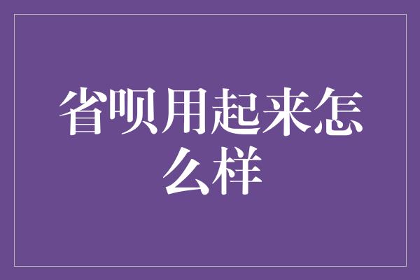 省呗用起来怎么样