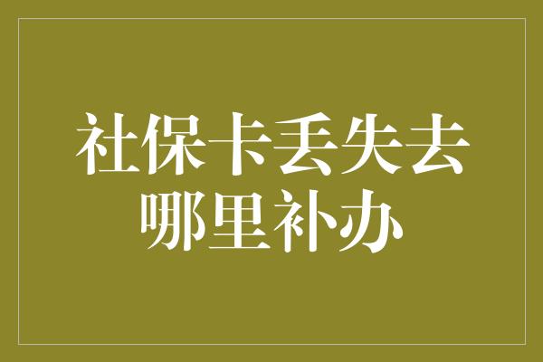 社保卡丢失去哪里补办