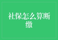 社保断缴：影响与补救措施深度解析