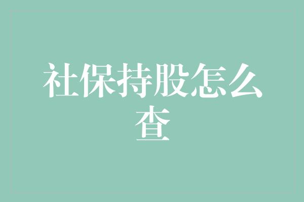 社保持股怎么查