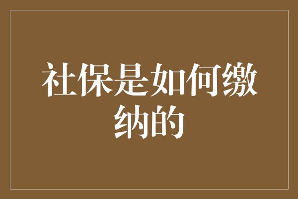 社保是如何缴纳的