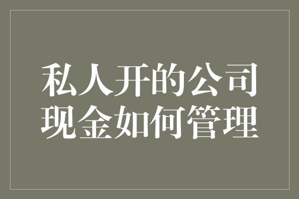 私人开的公司现金如何管理