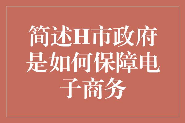 简述H市政府是如何保障电子商务