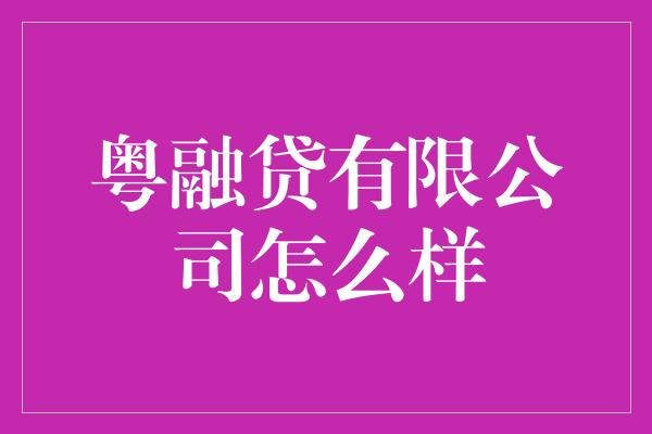 粤融贷有限公司怎么样