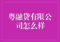 粤融贷有限公司：金融服务新生态的探索者