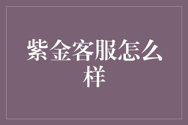 紫金客服怎么样