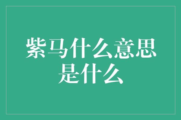 紫马什么意思是什么