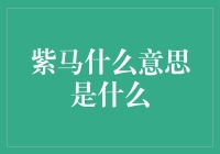 紫马：神秘的象征与古老的文化意象