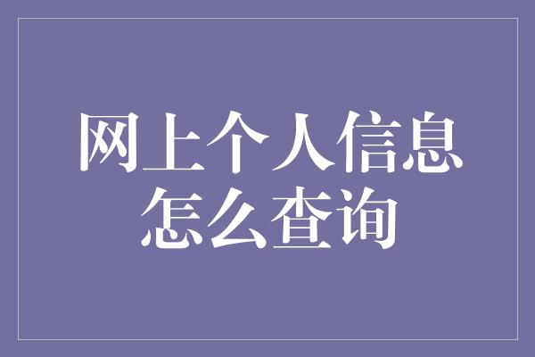 网上个人信息怎么查询