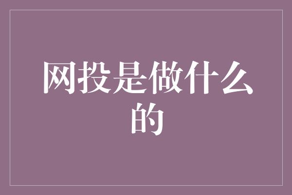 网投是做什么的