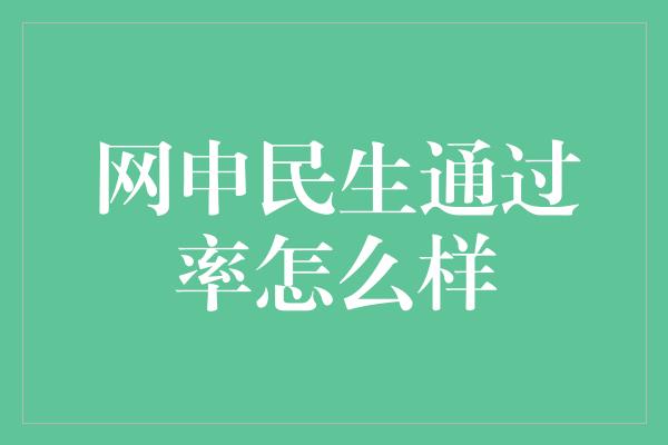 网申民生通过率怎么样