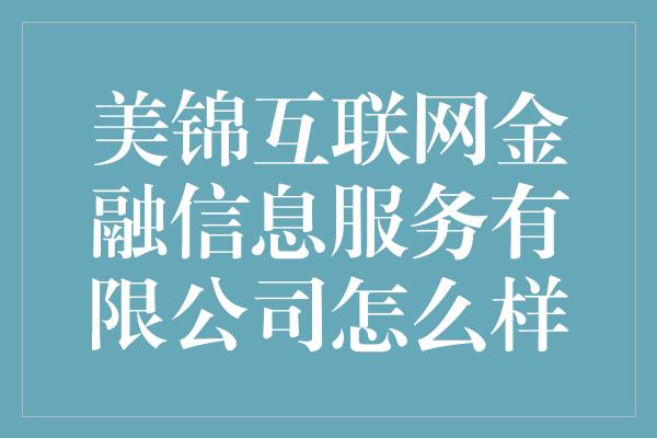 美锦互联网金融信息服务有限公司怎么样