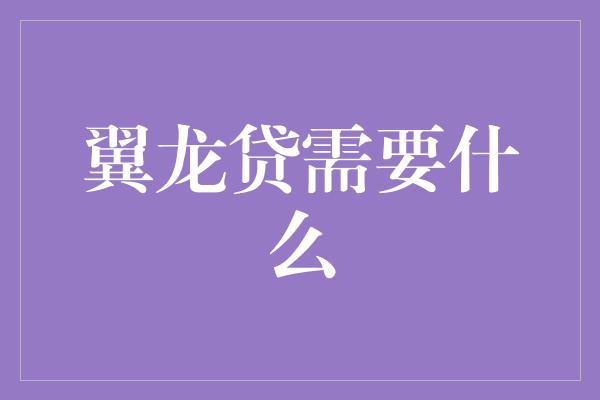 翼龙贷需要什么