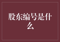 股东编号的意义与功能：一场穿越数字迷宫的冒险