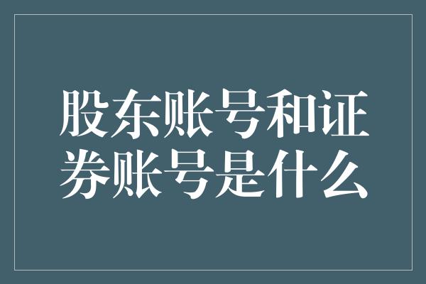 股东账号和证券账号是什么