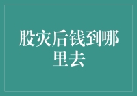 股市震荡：资金流向何方？