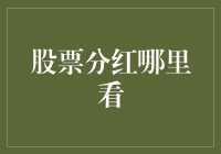 投资者如何查询股票分红信息：专业指南与实用技巧