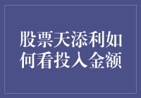 股票天添利：投入金额如何选择与评估