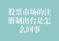 股市新手领证记：注册制下如何安稳过驾照考试