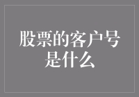 股票客户号：揭秘你最爱却最懵圈的数字！