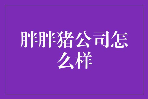 胖胖猪公司怎么样